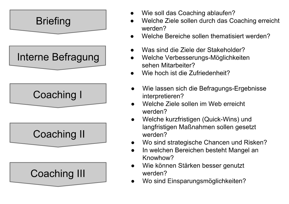 Ablauf eines Web-Coachings (Beispiel)